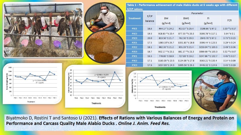 48-_various_energy_and_protein_on_performance_and_carcass_of_male_Alabio_ducks