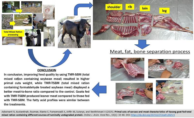 344-Kacang_goat_fed_ruminally_undegraded_protein-Adiwinarti_et_al