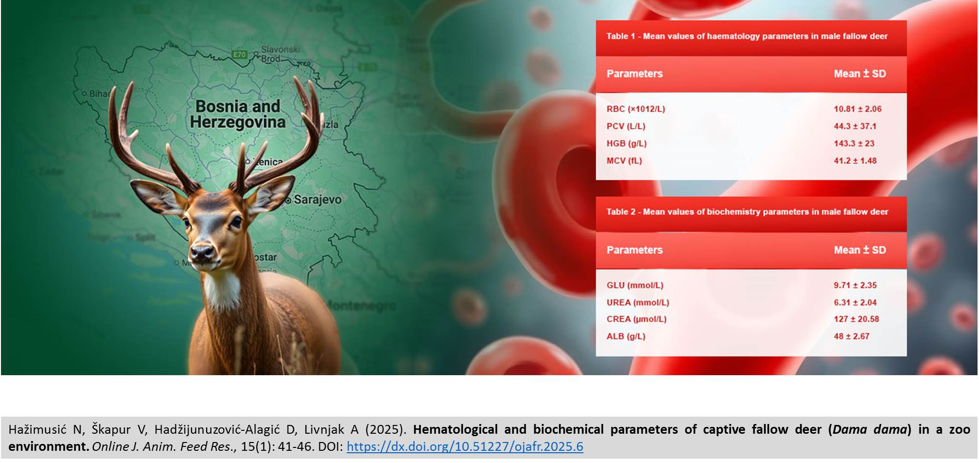 382-Haimusi._Hematological_and_biochemical_parameters_of_captive_fallow_deer_Dama_dama_in_a_zoo_environment