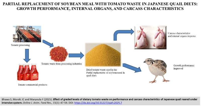 391-Effect_of_dietary_tomato_waste_on_Japanese_quail