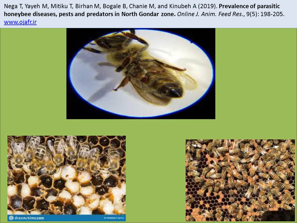 OJAFR-28March-2019_-_honeybee_diseases