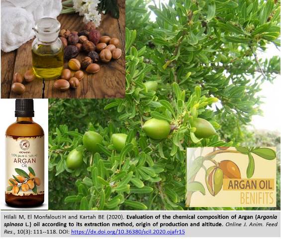 1169-chemical_composition_of_Argan_Argania_spinosa_L._oil-