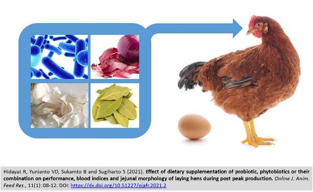 4-_probiotic_and_phytobiotics_on_blood__jejunal_of_laying_hens--
