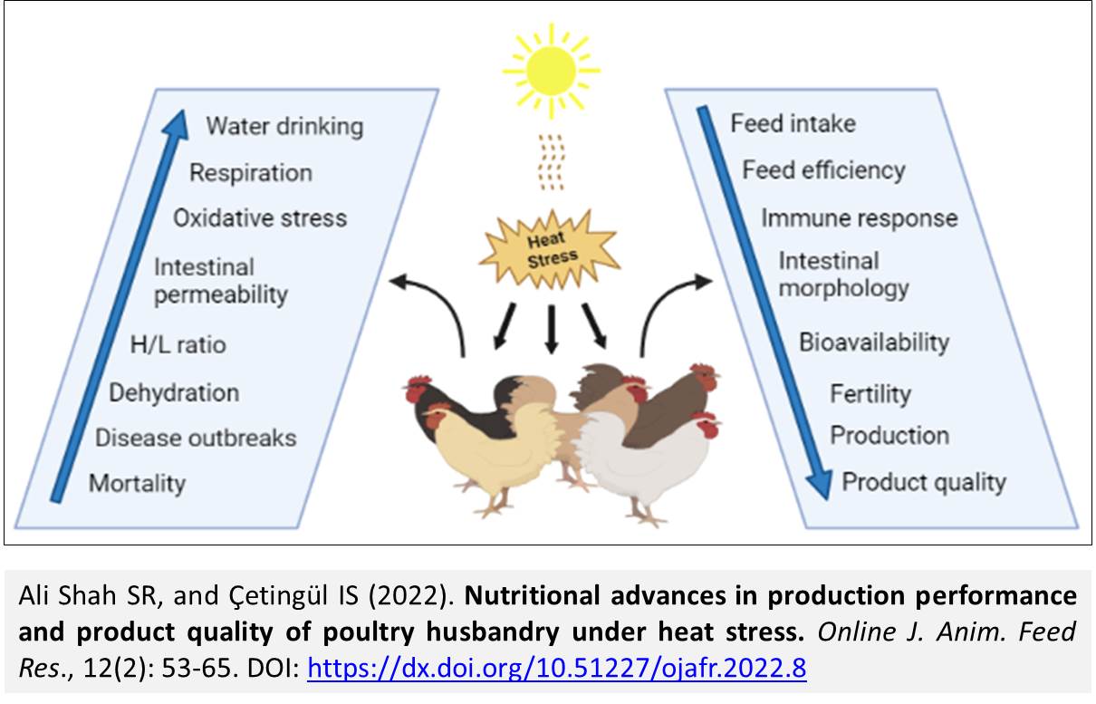 79-product_quality_of_poultry_husbandry_under_heat_stress