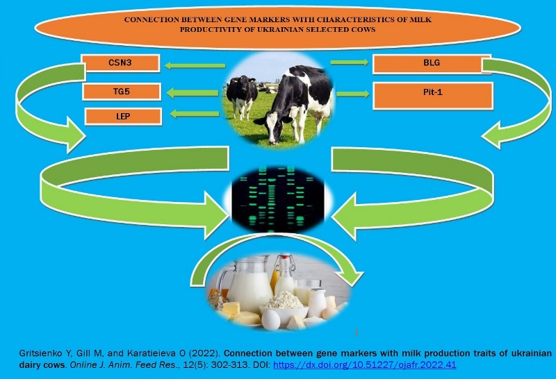 Karatieiev-_gene_markers_and_milk_productivity_traits_of_dairy_cows