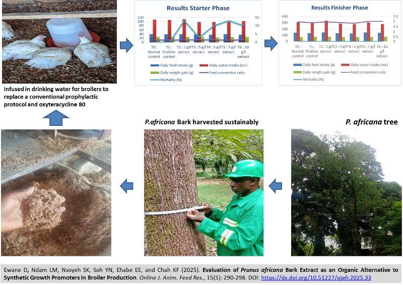 1350-Prunus_africana_Bark_Extract