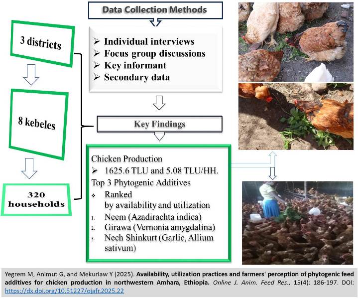 444-phytogenic_feed_additives