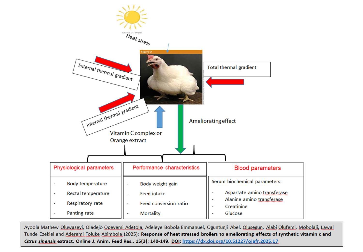 445-heat_stressed_broilers__synthetic_vitamin_c_and_Citrus_sinensis_extract