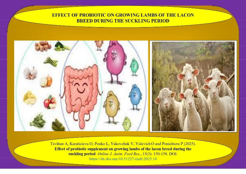 455-_lambs__probiotic_supplement