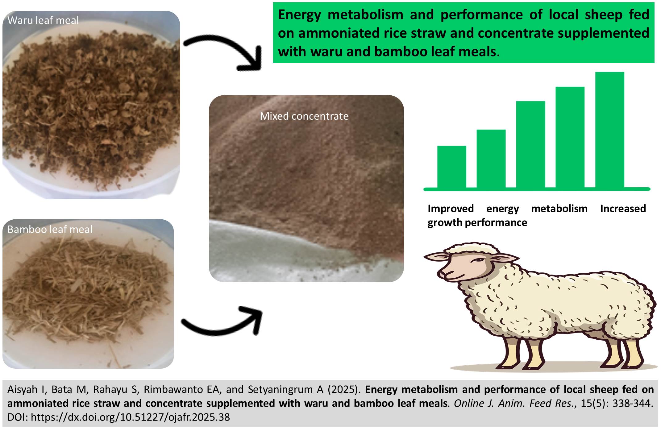 Full Sheep With Rice Volume 15 : Issue 6 - November 2025