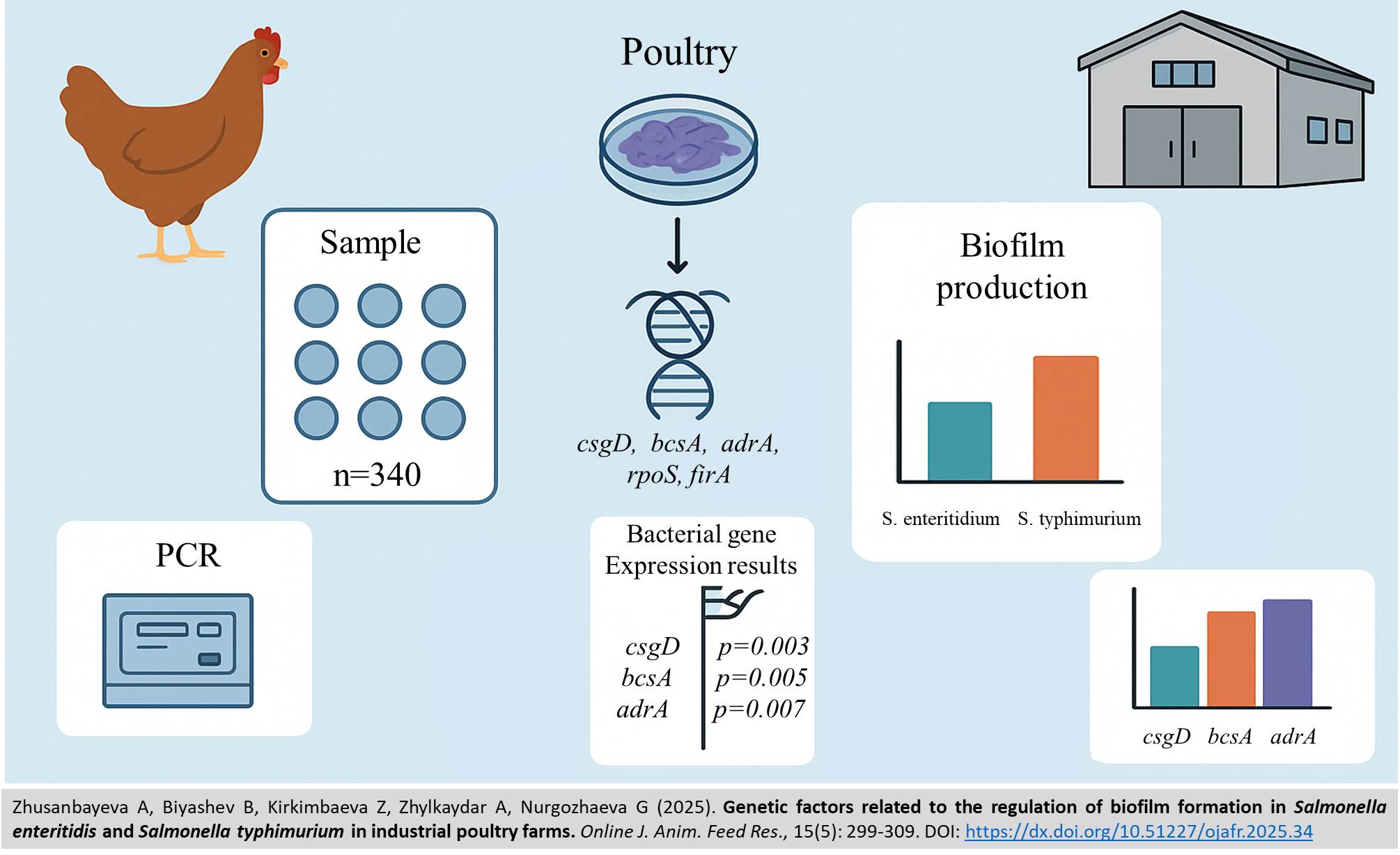 571-regulation_of_biofilm_formation_in_Salmonella_enteritidis_and_S_typhimurium