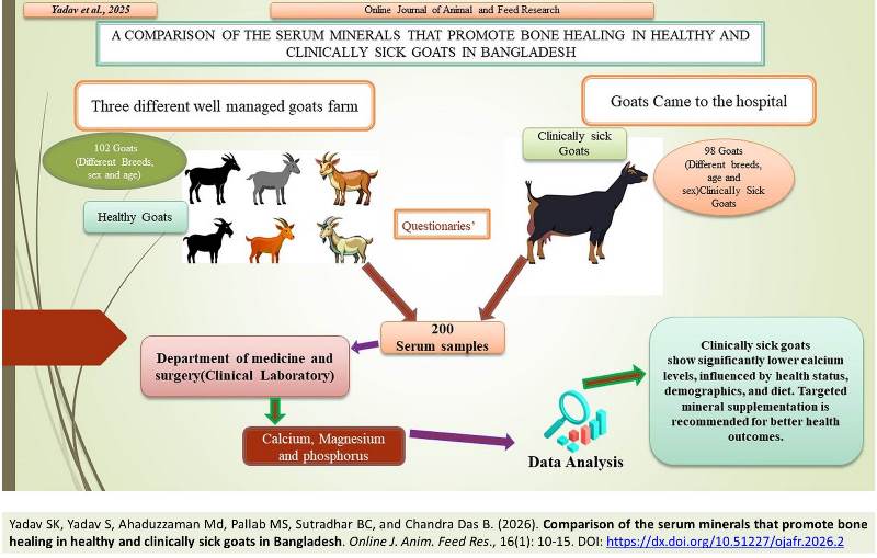 610-bone_healing_in_goats