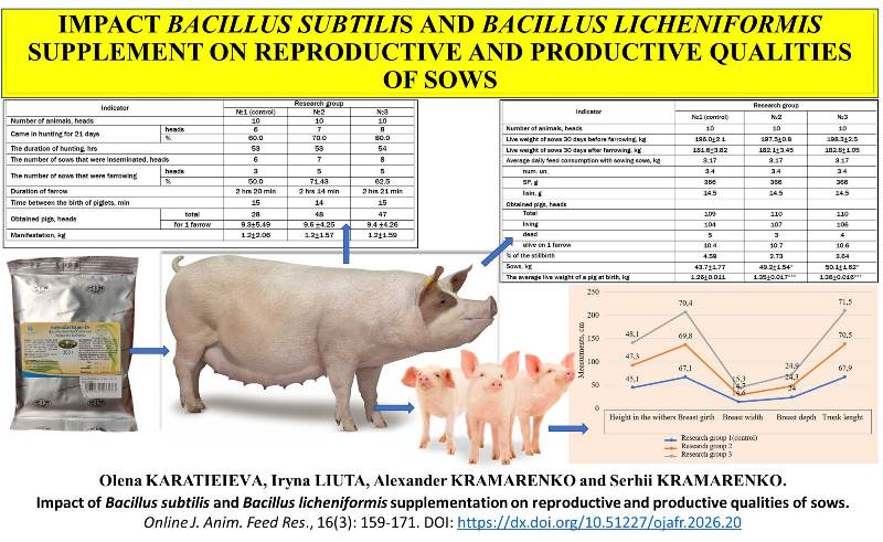 569-Bacillus_subtilis_and_Bacillus_licheniformis